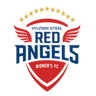 Incheon Hyundai Steel Red Angels WFC