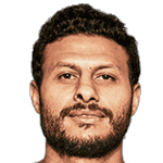 Mohamed El Sayed Mohamed El Shenawy Gomaa